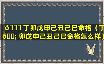 🐈 丁卯戊申己丑己巳命格（丁 🐡 卯戊申己丑己巳命格怎么样）